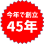 45年